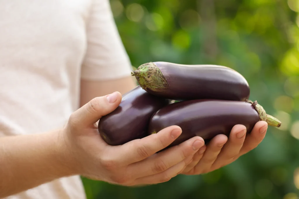 reconnaître une allergie aux aubergines